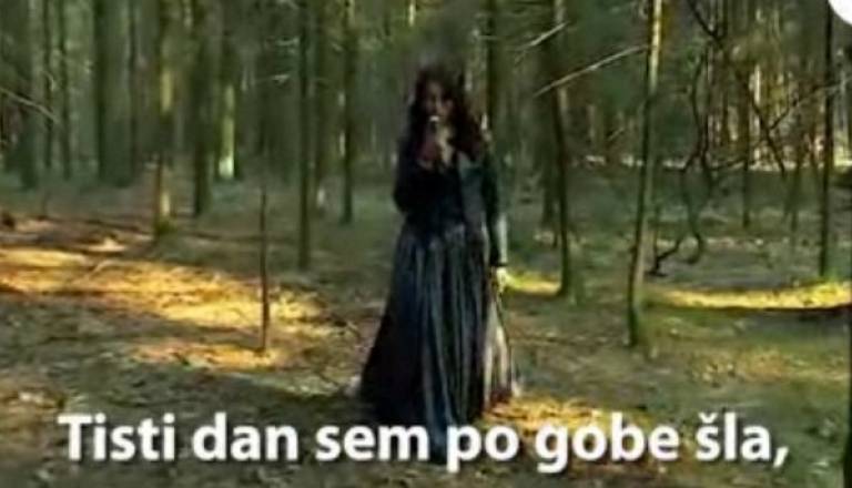 Parodija na videospot.