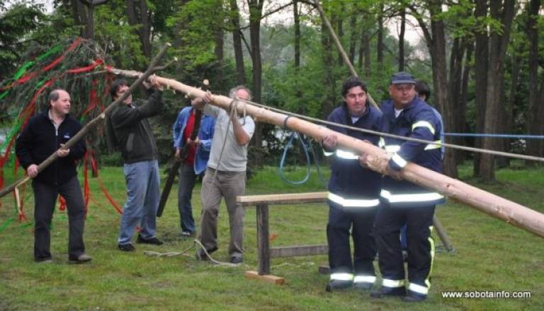 V Krogu so mlaj postavljali ročno