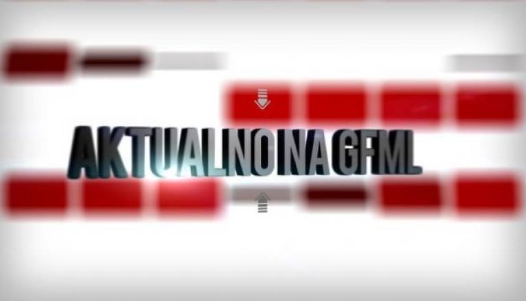 gfml1.jpg