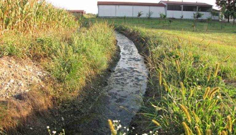 IMG_0545 [800x600].jpg