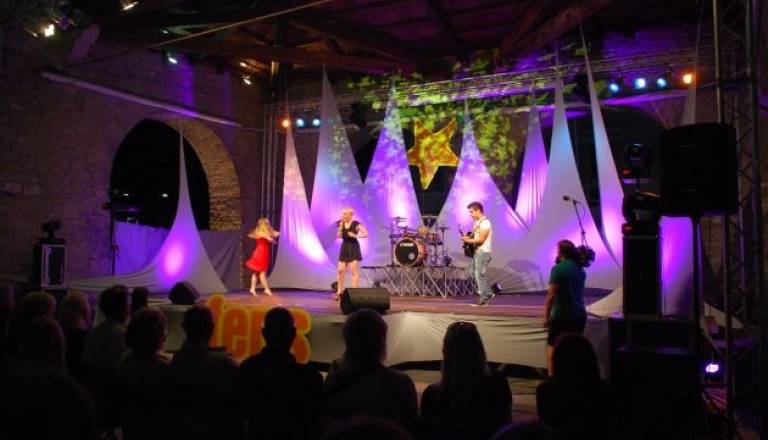 FeNS 2011 Tina Vrdjuka (2).JPG