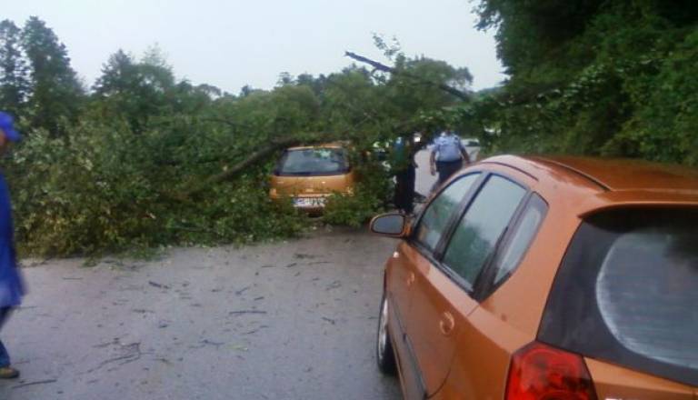 Uporabnica Sandra je zapisala: Takole pa je bilo videti na relaciji Bodonci - Poznanovci 