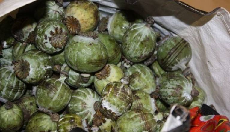 0912-81-11 - Zasegli prepovedano drogo 2.jpg