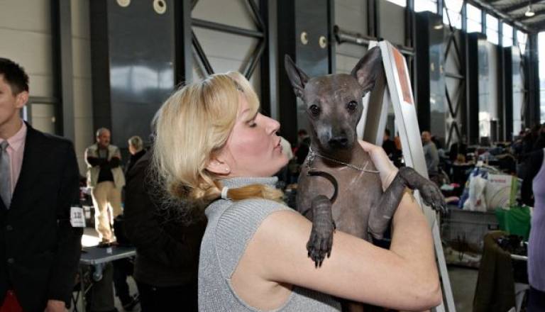 Cacip Ljubljana 2012, foto: Yenepu group