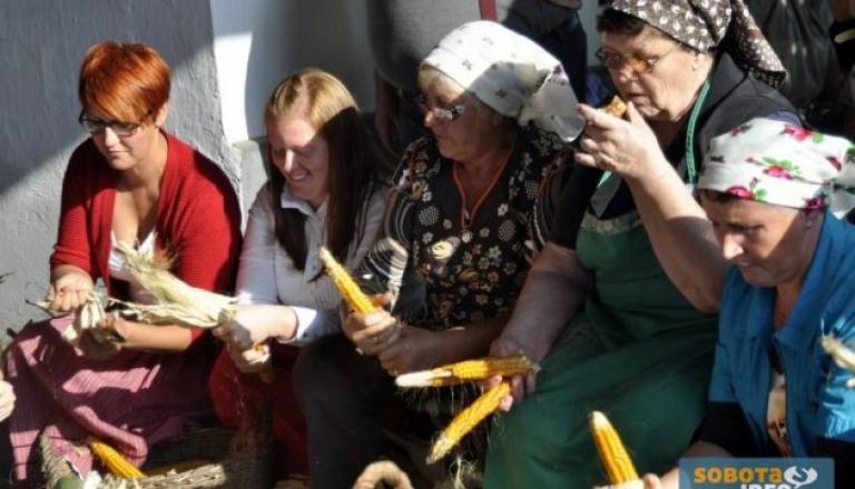 _DSC0047 (Kopiraj).JPG