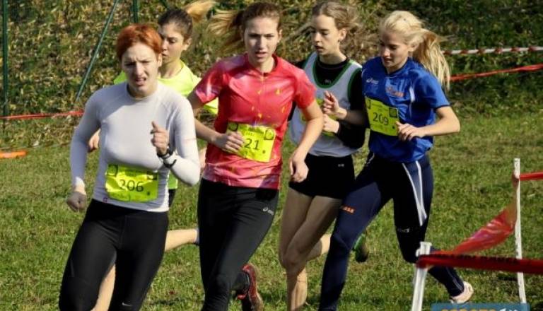 Kros za EP 2012 Sevnica  (31).JPG