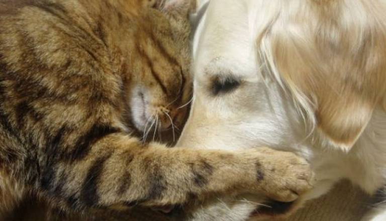 Pohitite, saj akcija poteka samo do konca marca. Več informacij dobite na Društvu in posameznih veterinarskih postajah.