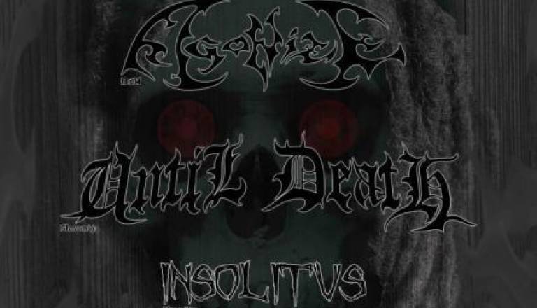 Društvo Etnoinfo bo Etno žago tokrat pripravilo že četrtič.