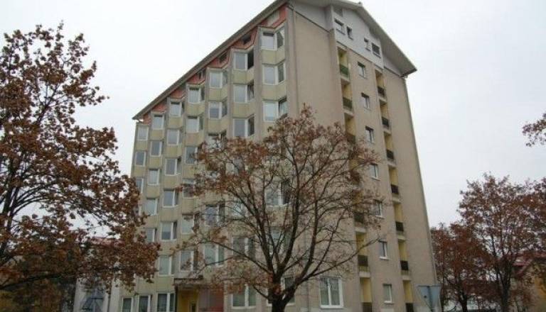 Foto splet.jpg