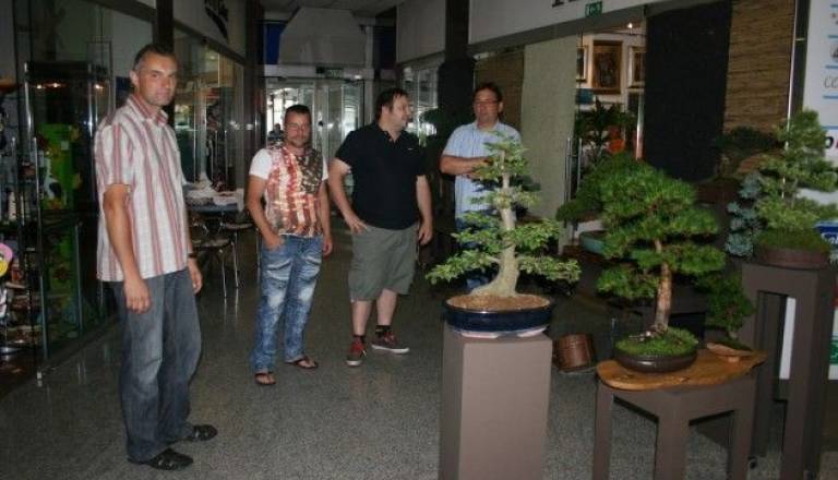 Roman Balajc, Tomaž Jug, Boris Hakl, Bogdan Lemut in Andrej Hriberšek so skupno razstavili 21 bonsajev različnih vrst in starosti.