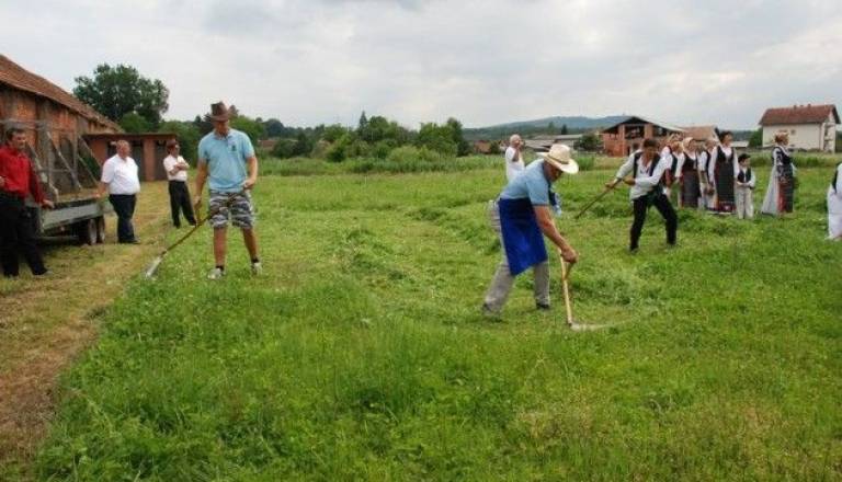 Prekmurski kosci so se znova izkazali, tokrat na Hrvaškem.
