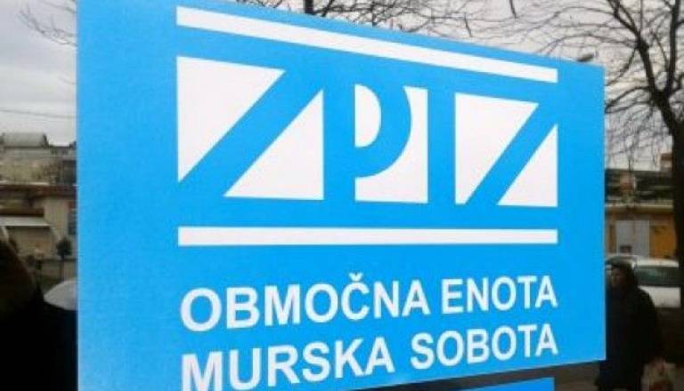 Zpiz MS.jpg