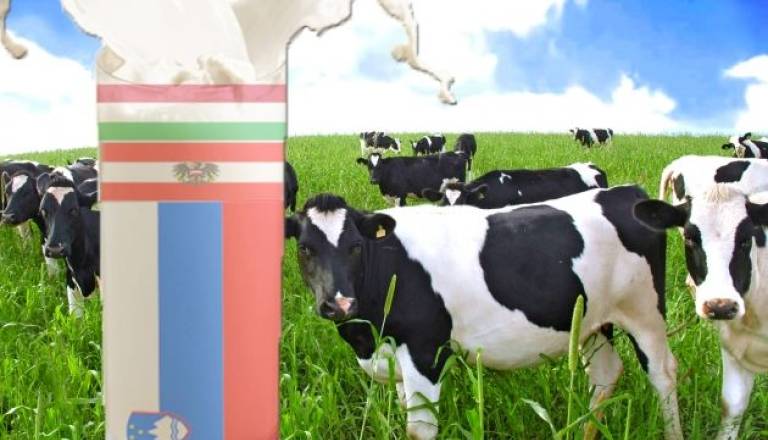 Mleko iz Avstrije in Madžarske predstavlja dobrih 20% vsega mleka. 