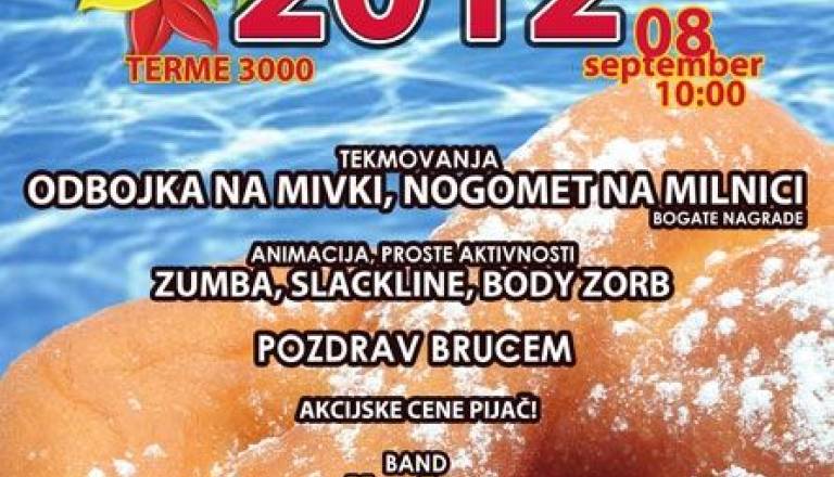Fanke2012_plakat.jpg