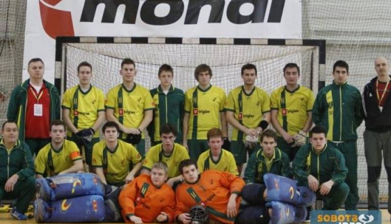 skupinska HK Triglav člani Budimpešta EP 2013.jpg