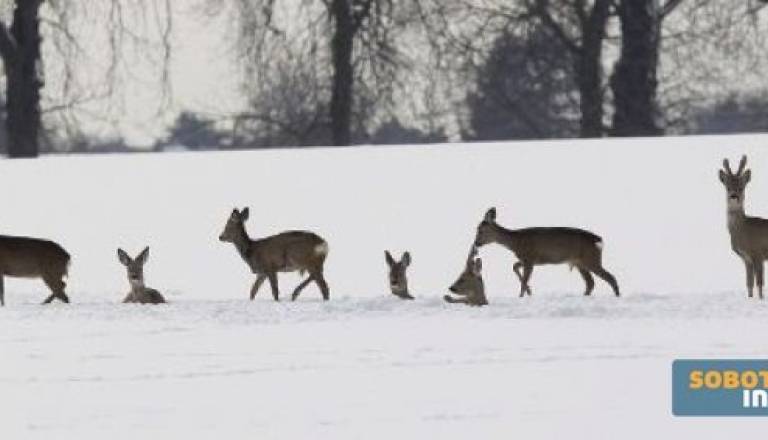 Fotografija je simbolična