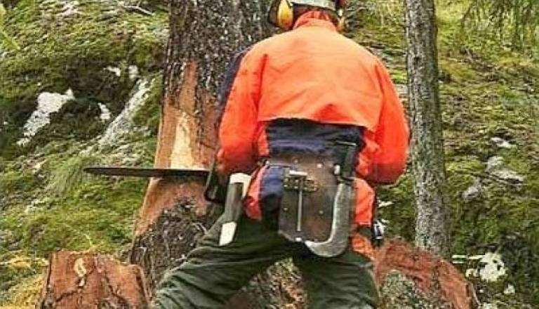 Do nesreče je prišlo tudi v Murski šumi. (fotografija je simbolična)