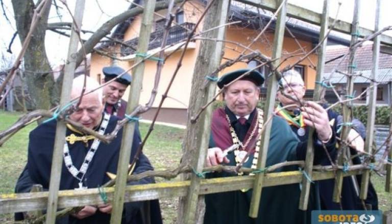 Viteška rez13m.JPG