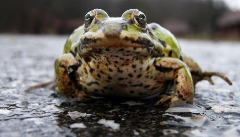 Foto: Kristjan Malačič