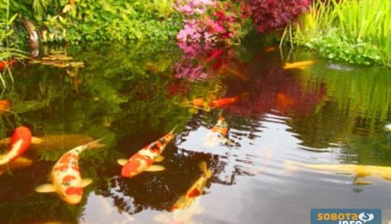 Slika je simbolična