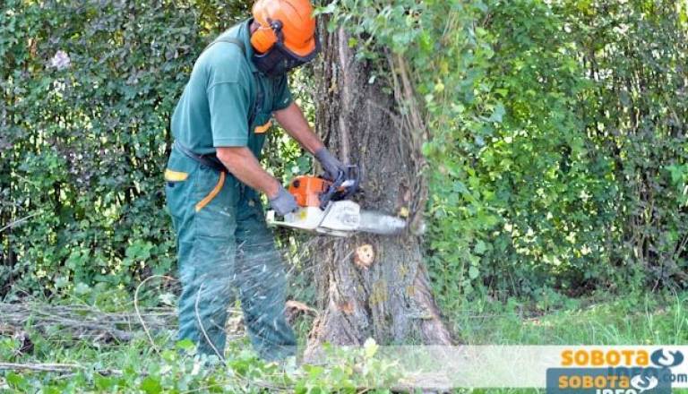 Simbolična fotografija