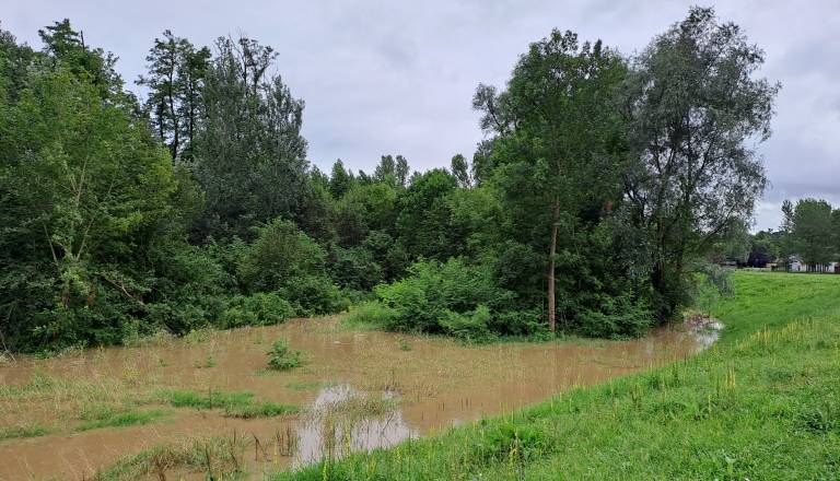 20230804_173128.jpg