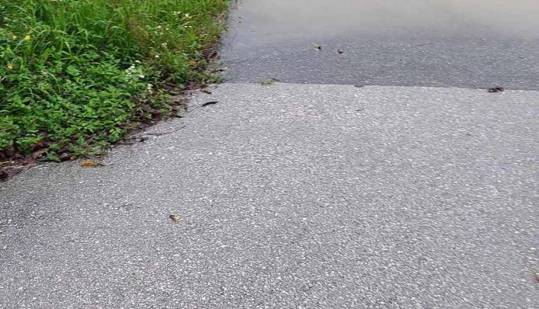 received_1464810734269633.jpeg