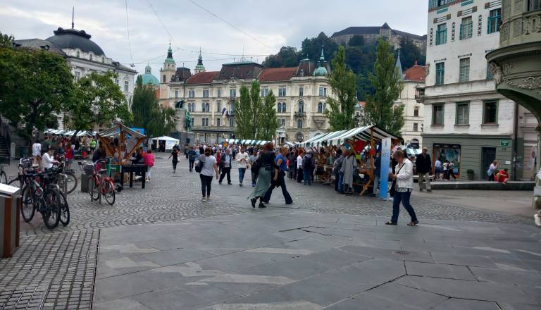 20230914_112935.jpg