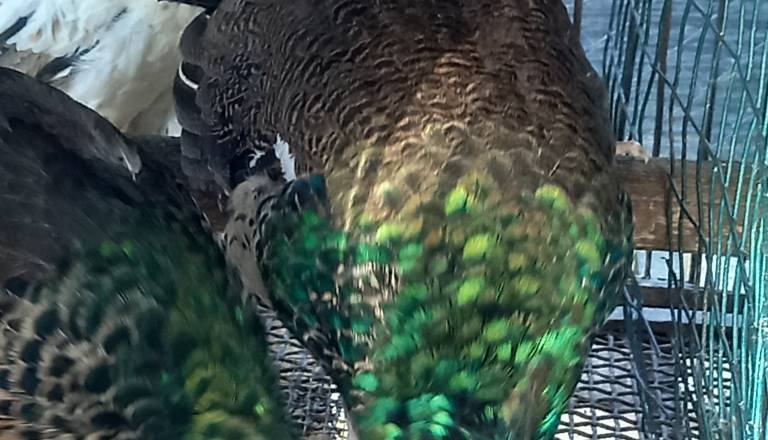 20251014_155858.jpg