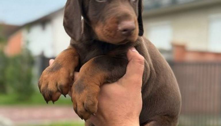 3080fcdc-0e6a-4f00-a8ed-bf1b25087c4d.jpg