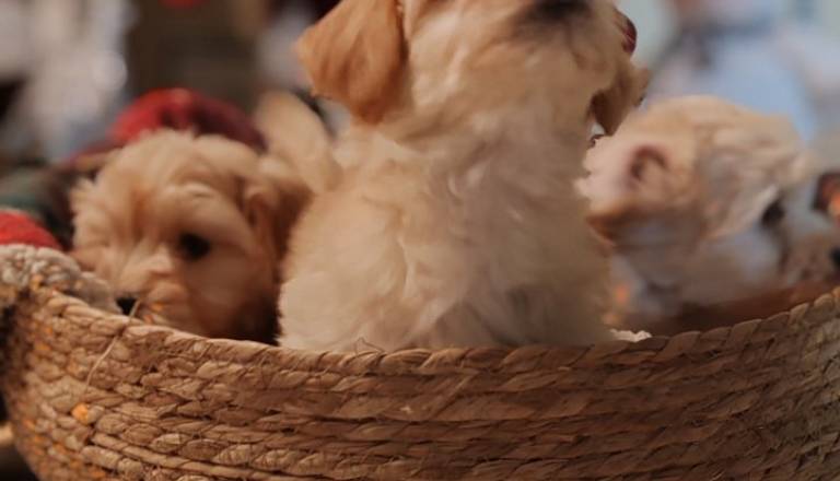 viber_image_2026-01-14_18-25-39-073.jpg