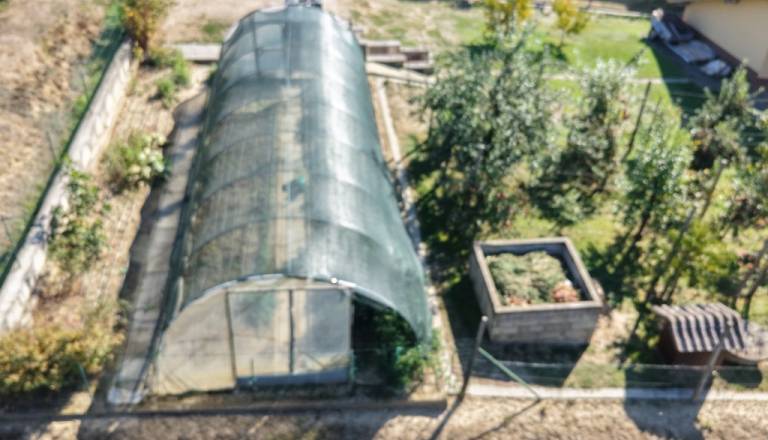 dji_20261001103502_0264_d.JPG