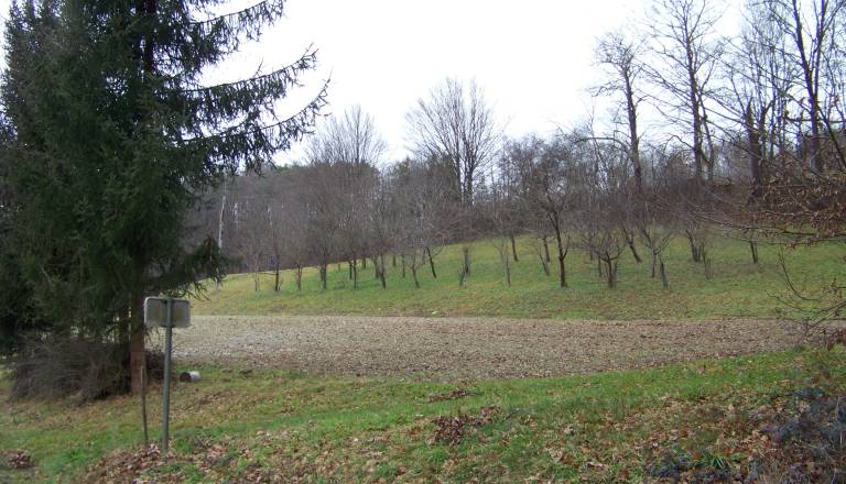 100_1369.JPG