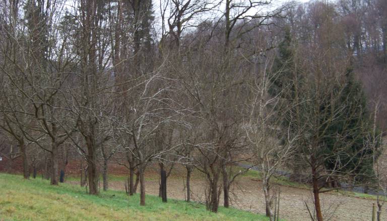 100_1375.JPG