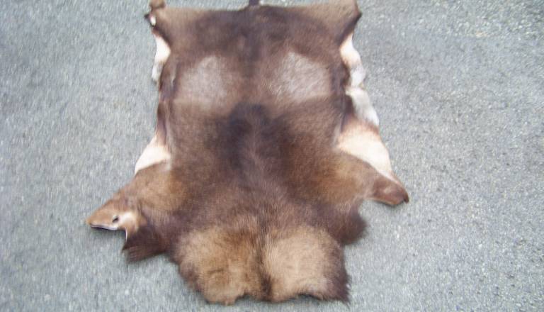 100_1734_0.JPG