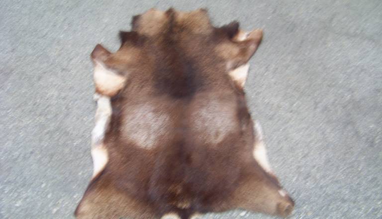 100_1736_0.JPG