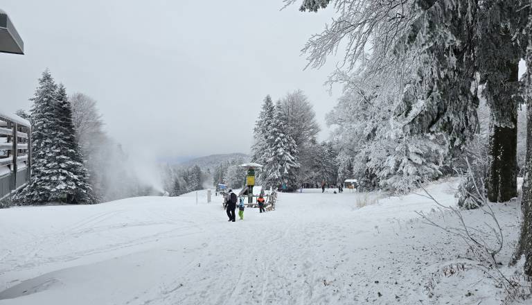 20251122_105558.jpg