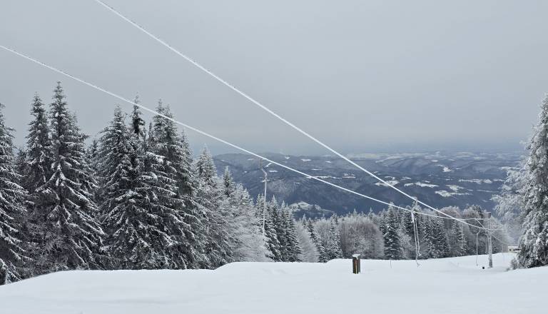 20251122_111651.jpg