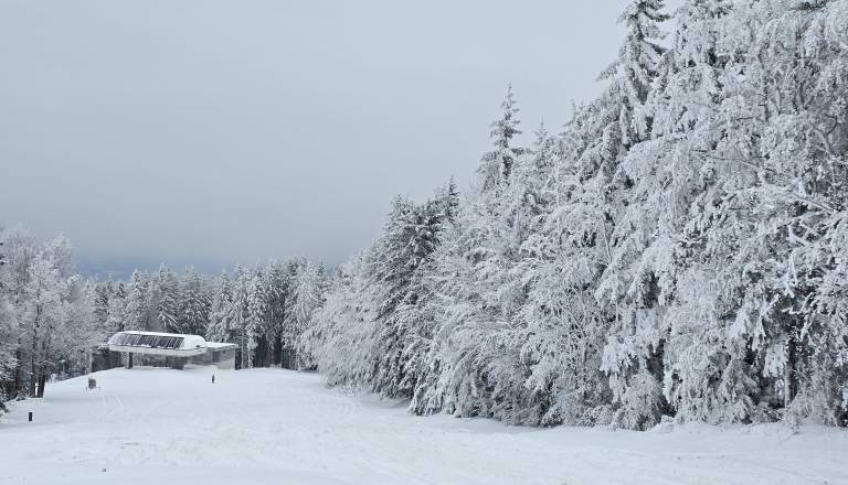 20251122_111734.jpg