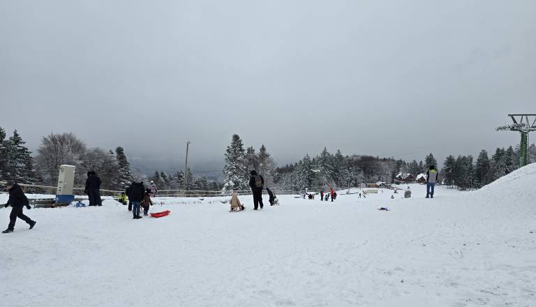 20251122_114057.jpg
