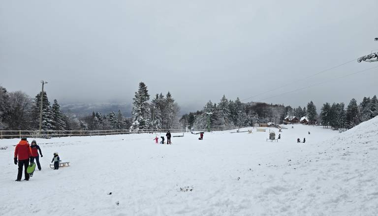20251122_114132.jpg