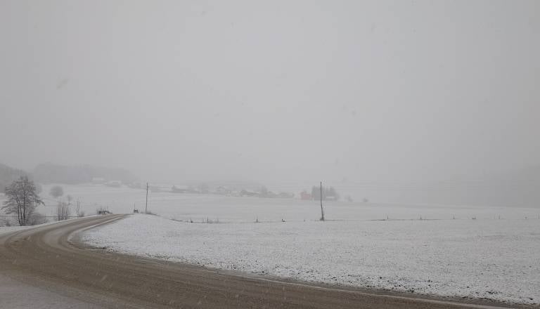 20251224_091340.JPG