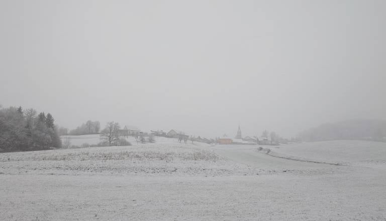 20251224_091626.JPG