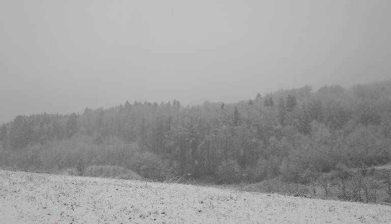 20251224_092816.JPG