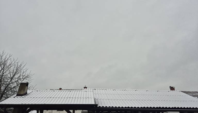 20251225_091024.jpg