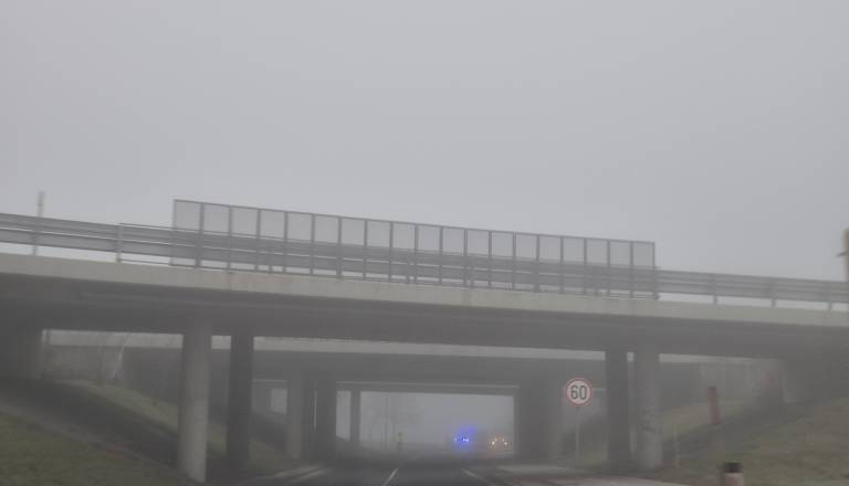 20251229_155413.jpg