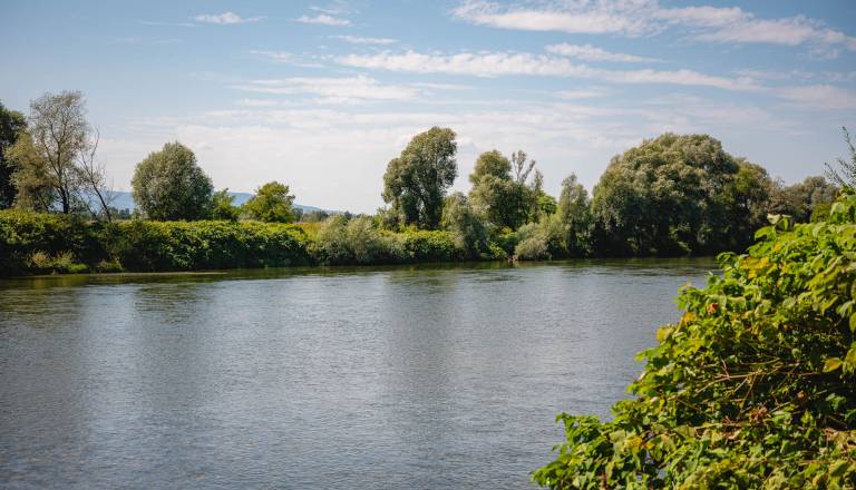 2026-08-03_recna-struga_osimzan_01_0.jpg