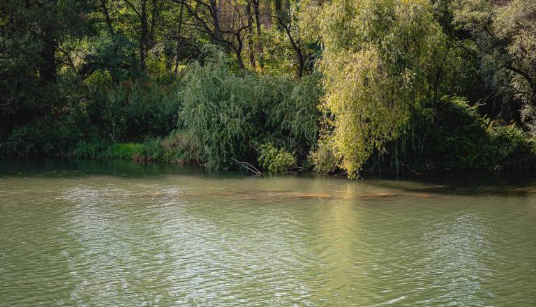 2026-08-03_recna-struga_osimzan_14_0.jpg