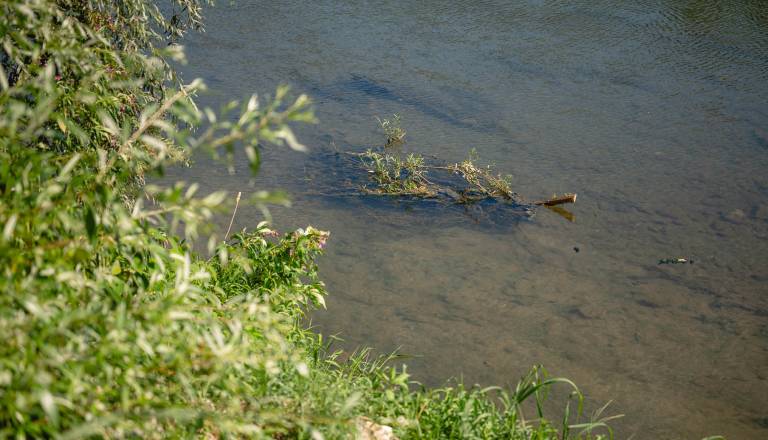 2026-08-03_recna-struga_osimzan_16_0.jpg