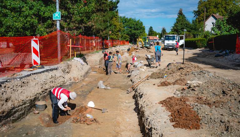2026-09-03_volkmerjeva-cesta_osimzan_24.jpg